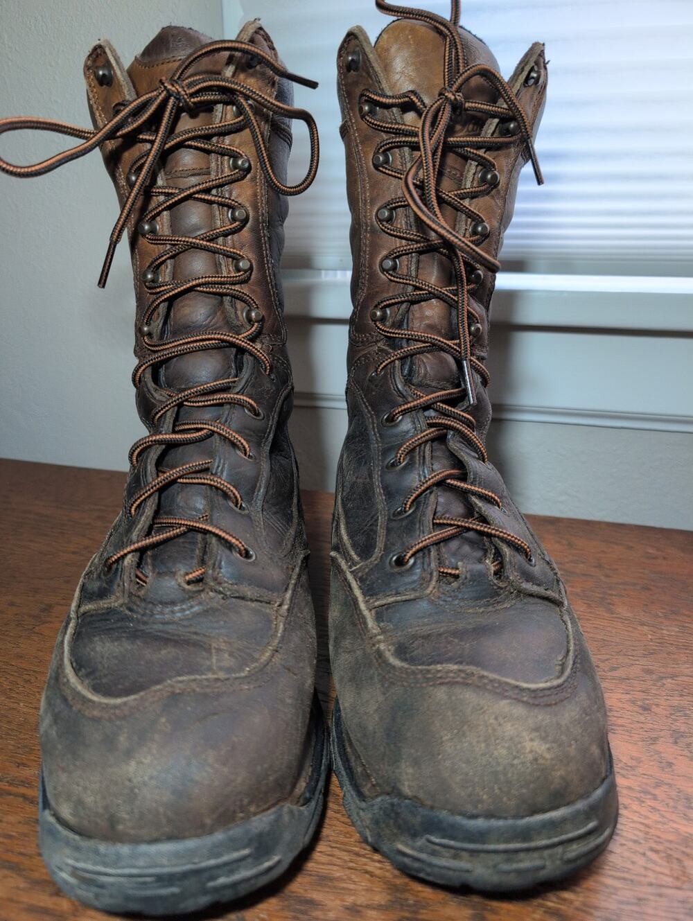 Danner Pronghorn Boots 10 Brown Leather 10" GTX Thinsulate 600G‎ Hunting Hiking